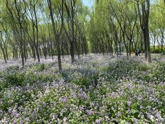 -东郊湿地公园