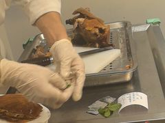 -便宜坊烤鸭店(科创店)