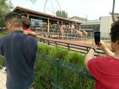 -石家庄市动物园