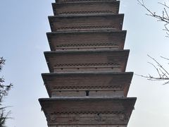 -洛阳白马寺
