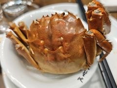 -蟹天蟹地农家菜·阳澄湖大闸蟹(浅水湾店)