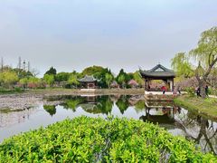 -无锡蠡湖国家湿地公园-蠡园