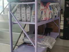 -爱诺动物医院(崂山店)