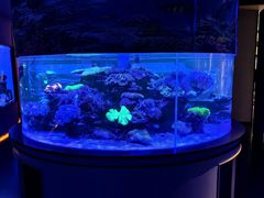 -上和臻品中国菜(花园街店)