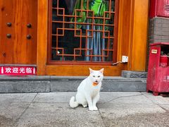 -春阳水饺(香槟广场店)