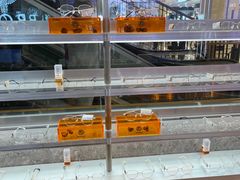 -MUJOSH木九十眼镜(武商广场店)