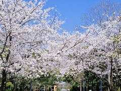 -蠡湖大桥公园