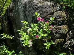 -崂山巨峰游览区
