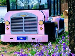 -圣露庄园·露营·烤肉·亲子