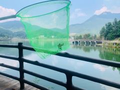 -梁野山景区