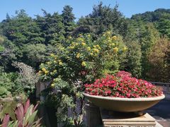 -云溪植物园