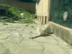 -宁波野生动物园