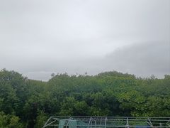 -盐洲岛