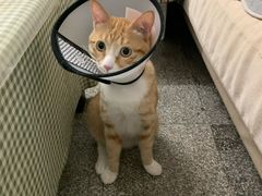 -荔康动物医院(康王北路店)