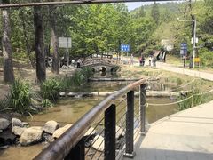 -白水寺森林公园