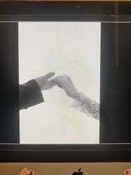 点击看大图 -重庆三毛摄影