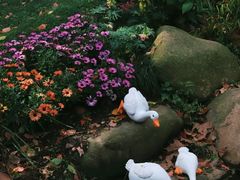 -上海共青森林公园