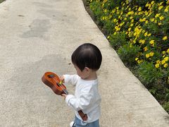 -紫颐香薰山谷景区