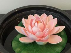 -汤臣海派理疗公馆