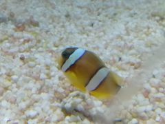 -福州罗源湾海洋世界旅游区