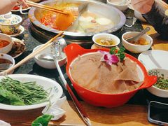 -大龙燚火锅(南山大道店)