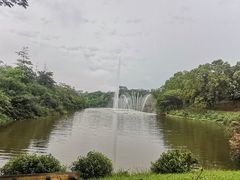 -东莞植物园