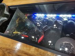 -红糖水都·女生特炖·中式滋补炖(北辰店)