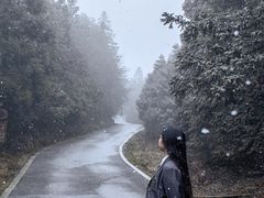 -武陵山森林公园