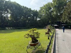 -申粤轩酒楼·三十年粤菜经典(丁香花园店)