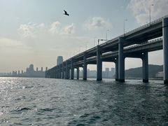 -星海广场
