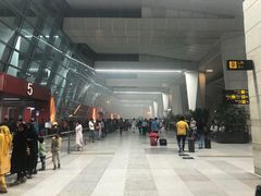 -英迪拉·甘地国际机场