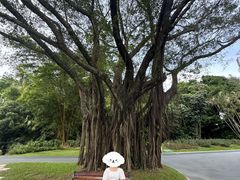 -人民公园(罗湖区)