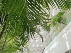 -复旦大学附属中山医院(西院区)