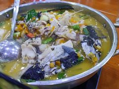 -全乐鱼馆·淳牌有机鱼直营店