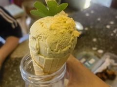 -野草莓自由市场