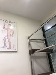 -赵大夫减肥