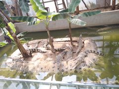 -石家庄市动物园