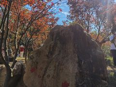 -广州市帽峰山景区