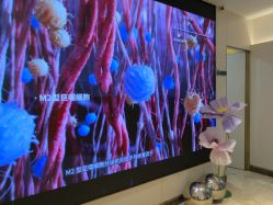 -深圳阳光医疗美容医院·旗舰店