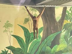 -杭州野生动物世界