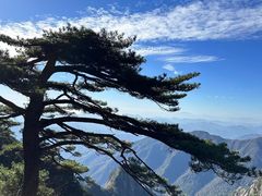 -黄山风景区