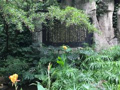 -广州兰圃