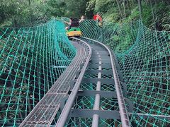 -藏龙百瀑风景区