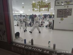 -极真空手道修远道场