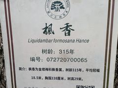 -乌石村