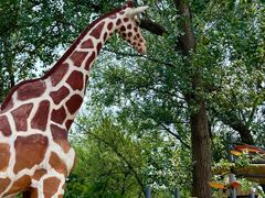 -南戴河国际娱乐中心