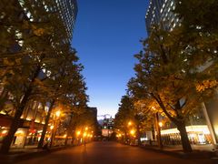 -北海道厅旧本厅舍(旧本庁舎)