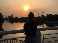 -九里河湿地公园