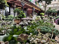 -山菌美食苑(振兴路店)