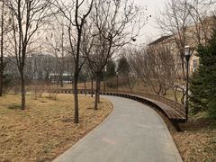 -北极寺公园